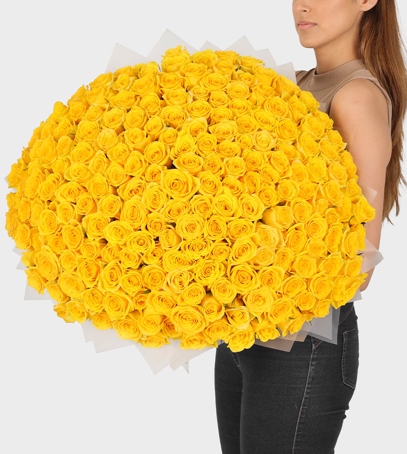 200 Yellow Roses