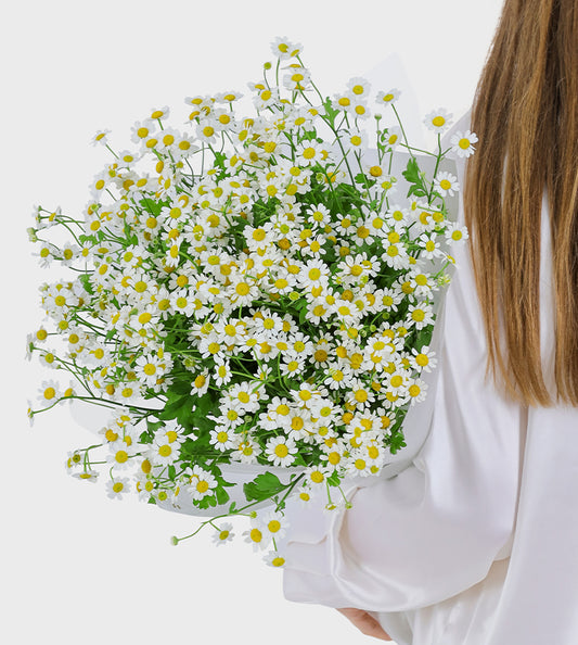 Daisy Bouquet