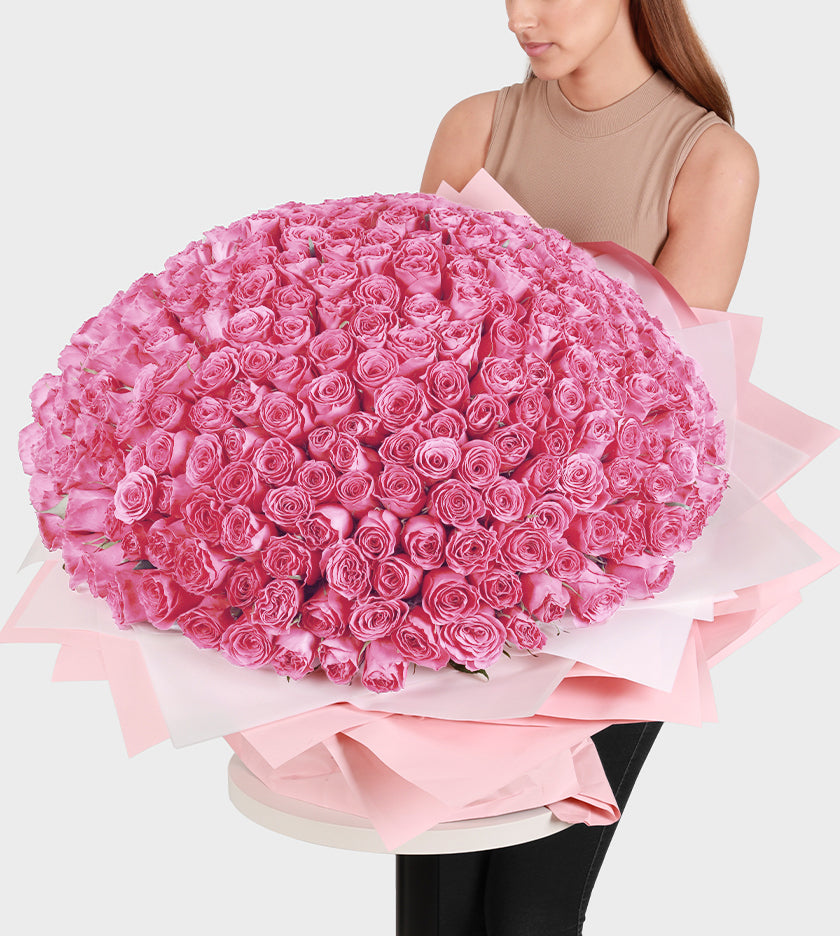 300 Pink Roses