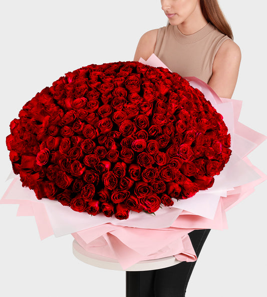 300 Red Roses