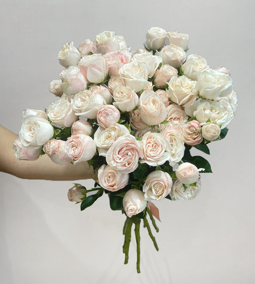 10 Spray Bon Bon Pink Roses