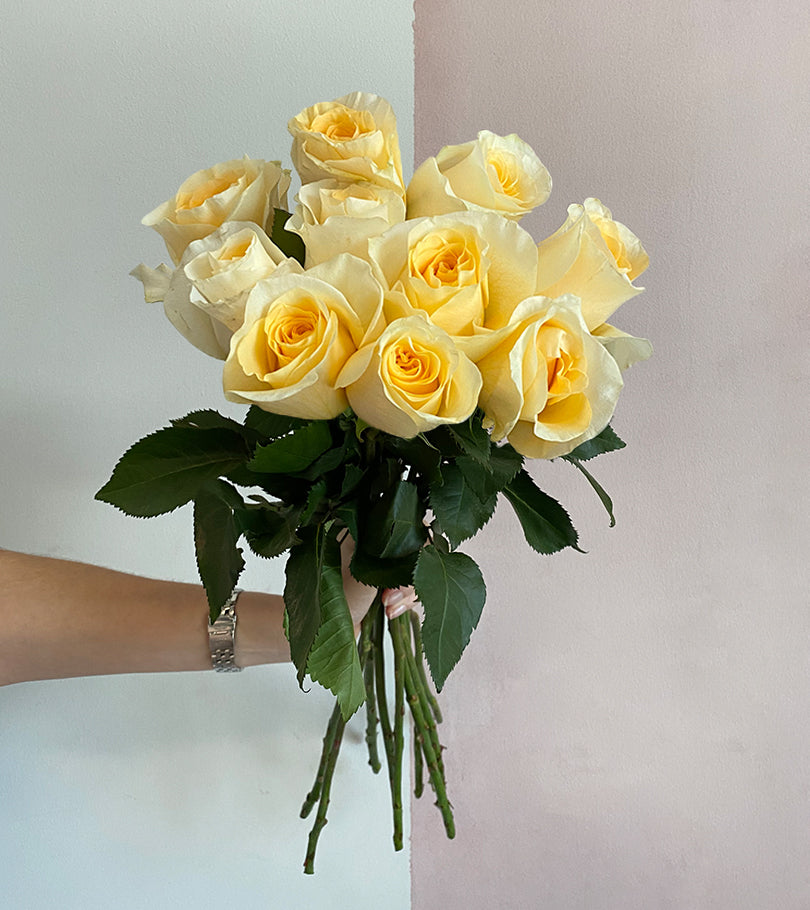 10 Premium Yellow Roses